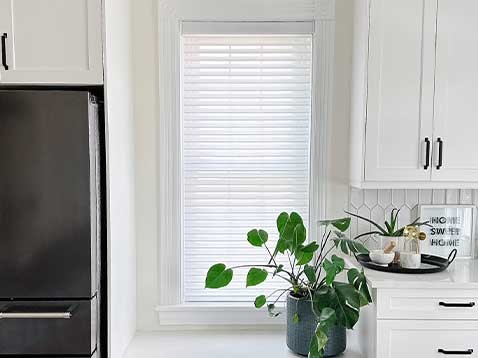 White kitchen with a tall window and a potted plant
