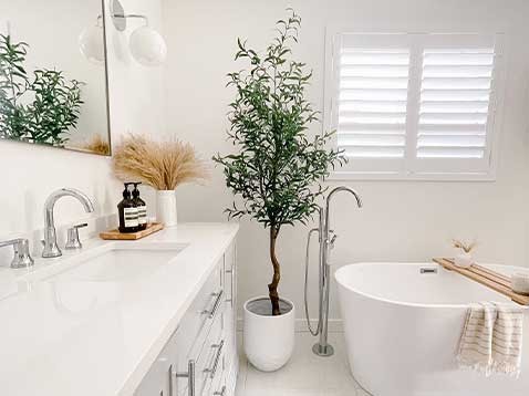 Bright white bathroom with a potted plant
